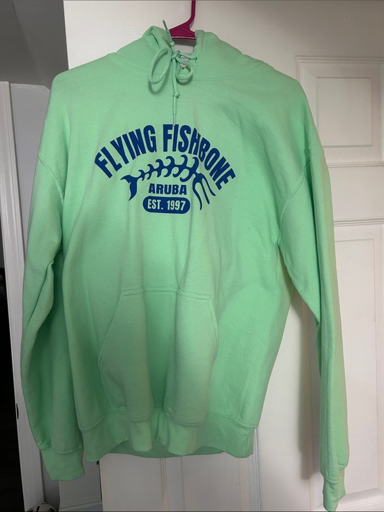 Gildan Sweaters - Gildan Mint Green Pullover Hoodie with Drawcords